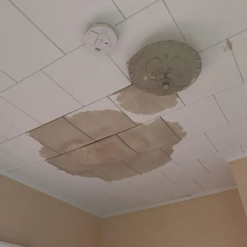 Ceiling Water Damage Repair in Eaton, OH