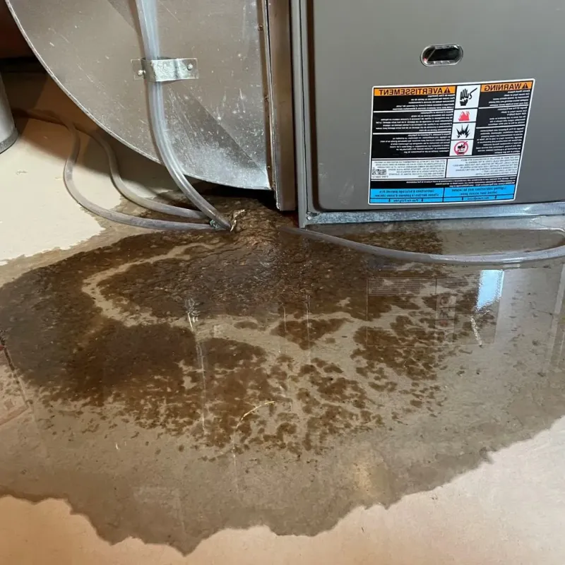 Pipe Burst and Leak Restoration in Eaton, OH