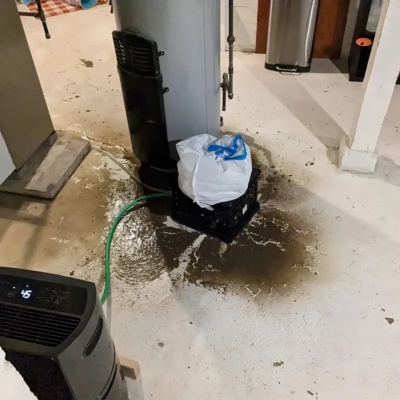 Sewage Backup Cleanup Service in Eaton, OH